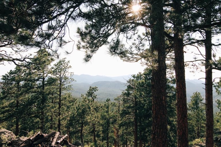 Eco-Friendly Outdoor Adventures: Exploring Nature Responsibly